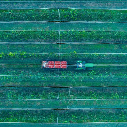 DJI_0008